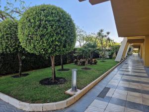 a walkway next to a building with trees and grass at Devesa Park in Playa de Gandia