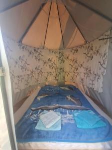 a room with a bed in a tent at Czarci Zakątek in Pozezdrze +25 photos