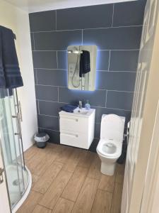 a blue tiled bathroom with a toilet and a sink at 18 Ballybunion Holiday Cottages in Ballybunion +12 photos