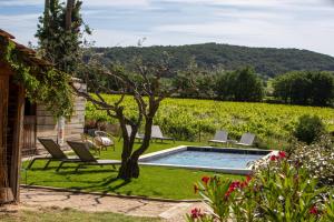 a swimming pool in a yard with a vineyard at Le Grand Gîte in Vaison-la-Romaine