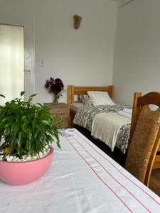 a room with a table with a potted plant on it at Wakacje u Dziadków in Ruciane-Nida