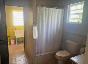a bathroom with a shower with a toilet and a sink at Good Times in Gingerland +42 photos