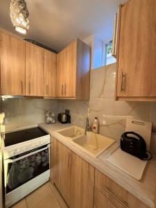 a kitchen with wooden cabinets and a sink at Rodon Apartments in Tsoukalades