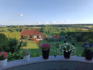 a group of potted plants on a balcony with a garden at Bella vista Šumarice in Kragujevac