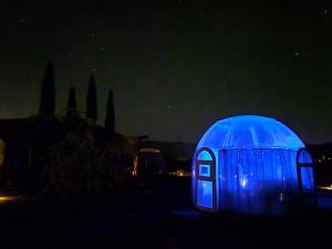 a blue iguana is lit up in the dark at Stargazing Retreats Homestay in Camp Verde +9 photos