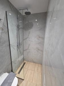a bathroom with a shower and a toilet at Vasiliki Apts in Vasiliki