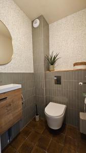 a bathroom with a toilet and a sink and a mirror at Ker Bellevue, chambre Dinan in Lanvallay