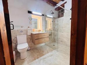a bathroom with a toilet and a shower and a sink at Byzantino Omodos House in Omodos +96 photos