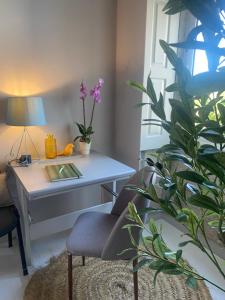 a living room with a desk and a chair and a plant at Casa da Âncora in Viana do Castelo