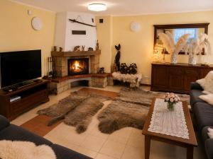 a living room with a television and a fireplace at Magiczny Dom nad Bugiem in Pętkowo Wielkie +19 photos