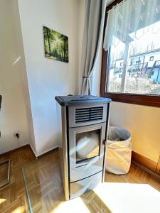 a small stove in a room with a window at Ferienwohnung mit Kamin - Hunde willkommen in Falkenstein