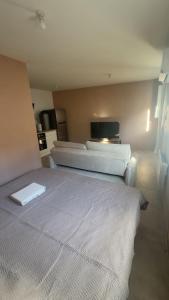 a bedroom with two beds and a flat screen tv at Studio 145 E in Douai