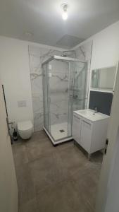 a bathroom with a shower and a sink and a toilet at Studio 145 E in Douai
