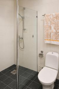 a bathroom with a toilet and a glass shower at KURESSAARE TALLINN STREET APARTMENTs in Kuressaare +36 photos