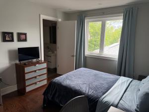 a bedroom with a bed and a television and a window at Modern House in Toronto in Toronto