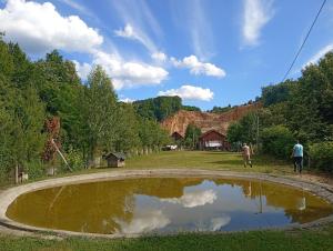 a small pond in the middle of a field at Vila PAUN in Doboj