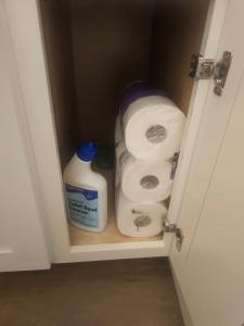 a cabinet with rolls of toilet paper and bleach at Southern Charm on Earl in Stanfield