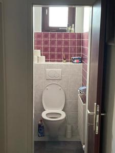 a bathroom with a toilet with a pink tiled wall at Private Garden Apartment near Bad Schallerbach in Wallern an der Trattnach