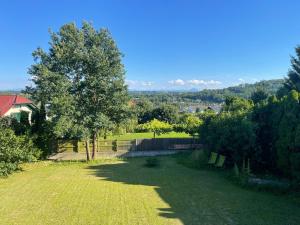 a field of grass with a tree and a fence at Private Garden Apartment near Bad Schallerbach in Wallern an der Trattnach