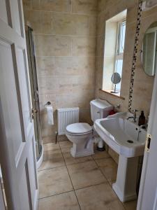 a bathroom with a toilet and a sink at Apartment in Coolea in Bard Inch +7 photos