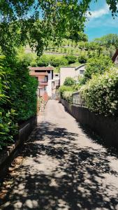 a tree hanging over a dirt road with a street at Piccolo Appartamento Casa Vacanze B&B Angela in Clusone
