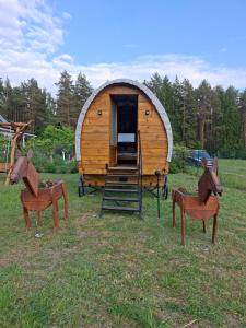 a small wooden cabin with two chairs in a field at Czarci Zakątek in Pozezdrze