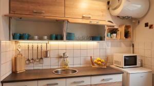 a kitchen with a sink and a microwave at Chata Domaša - Monika in Holčíkovce