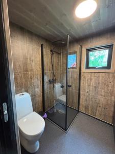a bathroom with a toilet and a shower at Bjørgo Gard - Stegastein in Aurland +141 photos