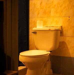 a bathroom with a white toilet in a room at Boca Estrella in Bocas Town