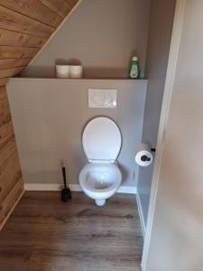 a bathroom with a white toilet in a room at Heuvelzicht in Wortegem