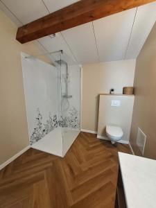 a bathroom with a glass shower and a toilet at Les Gites de la Bastide in Ribes +23 photos