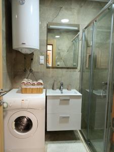 a bathroom with a washing machine and a sink at Apartman Vida in Novi Pazar