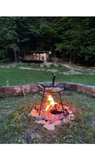 a bird sitting on top of a fire at Căsuța din pădure KSIM in Curtea de Argeş