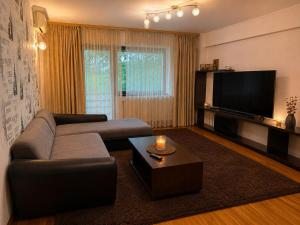 a living room with a couch and a flat screen tv at King Apartment Bucharest in Dudu