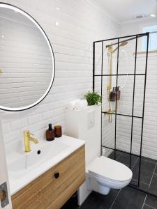 a bathroom with a toilet and a sink and a mirror at Det Gamle Vaskeri - Historical Apartment in Horsens in Horsens