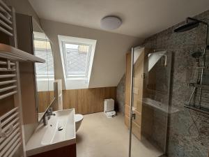 a bathroom with a shower and a sink and a toilet at Apartmány u čalouníků in Litomyšl +21 photos