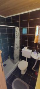 a bathroom with a toilet and a sink at Kamp Bato in Brijeg