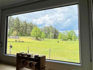 a window with a view of a field with cows at Ferienwohnung Runeholm in Fjälster