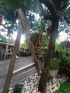 a wooden deck with a tree and a swing at Casa da Maria Gata in Sever do Vouga