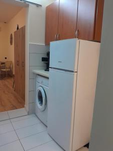 a kitchen with a refrigerator and a washing machine at Leni in Ierissos