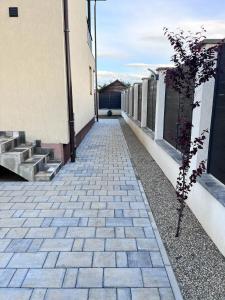 a pathway with a plant in the middle of a building at Casa Bella in Sînpetru