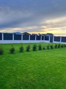 a green field with a row of bushes in front of a building at Casa Bella in Sînpetru