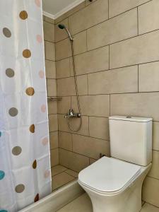 a bathroom with a toilet and a shower curtain at Villa Alonia House in Kallithéa