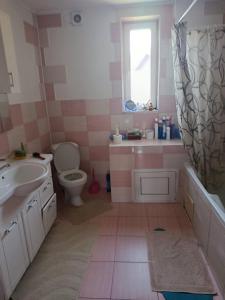 a pink and white bathroom with a toilet and a sink at Котедж Криниченька in Yaremche
