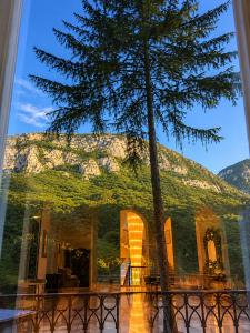 a tree in front of a building with a mountain at Vila Băncii 1888 by SunGarden in Băile Herculane