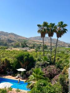 a resort with a pool and palm trees and hills at La Finca Blanca in Alora