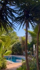 a view of a swimming pool with palm trees at La Finca Blanca in Alora