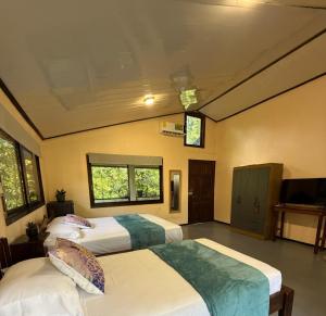 a bedroom with two beds and a tv and windows at Estudio Jaguar in Tortuguero