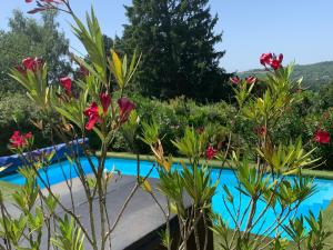 a garden with flowers and a swimming pool at Suite-piscine et jacuzzi sous les étoiles - petit déjeuner inclus ou non, et repas froid en option in Septème +13 photos
