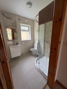 a bathroom with a shower and a toilet at Kilmurry heights in Kenmare